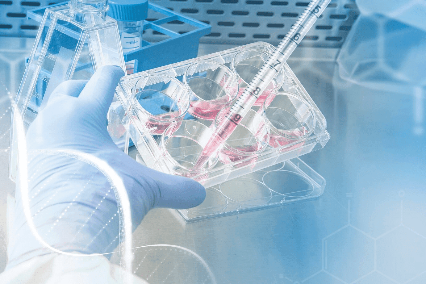 Global Clinical Trials